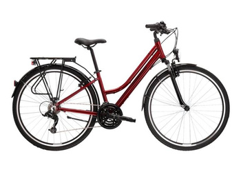 Rower Kross Trans 1.0 SR bordowy